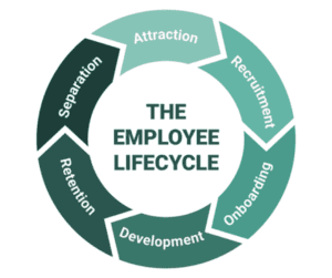 A circle with the words " employee lifecycle ".